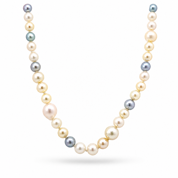 14K Akoya Pearl Necklace Blue Marlin Jewelry, Inc. Islamorada, FL