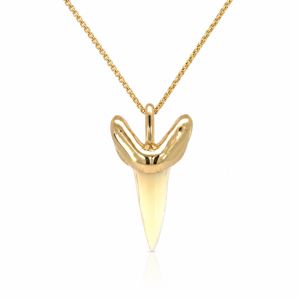 14K Gold Capped Mako Tooth Blue Marlin Jewelry, Inc. Islamorada, FL