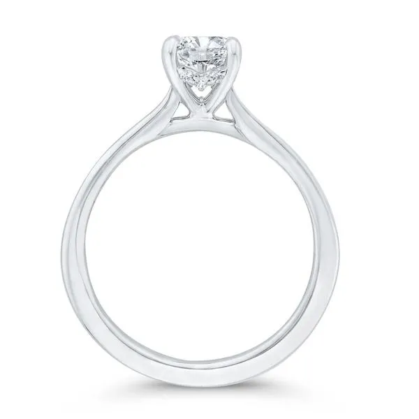 14 Karat White Gold Emerald Cut Diamond Engagement Ring- Special Order Only Image 4 Bluestone Jewelry Tahoe City, CA