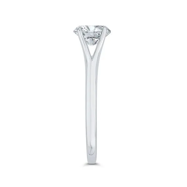 14K White Gold Solitare Diamond Engagement Ring- Special Order Only Image 3 Bluestone Jewelry Tahoe City, CA
