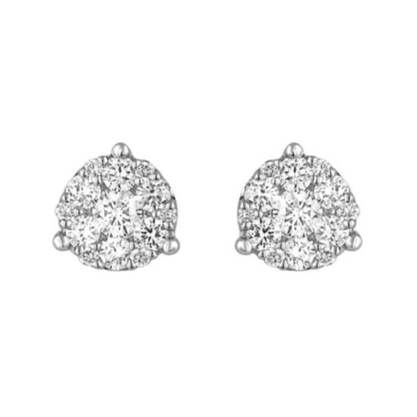 Earrings Blue Water Jewelers Saint Augustine, FL