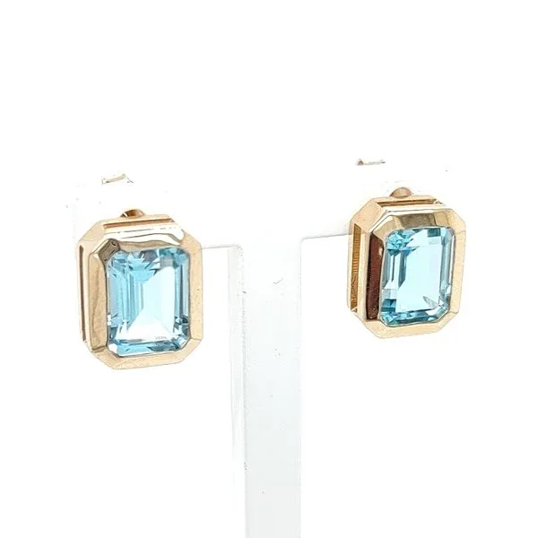PARAGON COUTURE 14K Yellow Gold Colored Stone Earrings Blue Water Jewelers Saint Augustine, FL