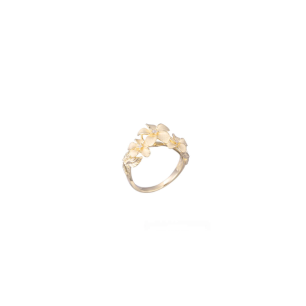 DW 14K Yellow Gold Fashion Ring Blue Water Jewelers Saint Augustine, FL