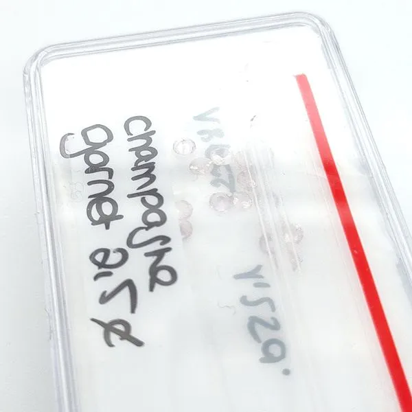 Loose Blue Water Jewelers Saint Augustine, FL