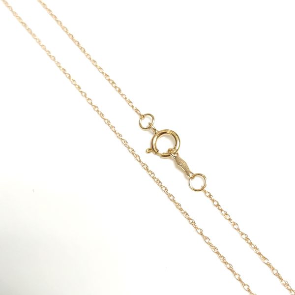 BW 14K Yellow Gold Chain Blue Water Jewelers Saint Augustine, FL
