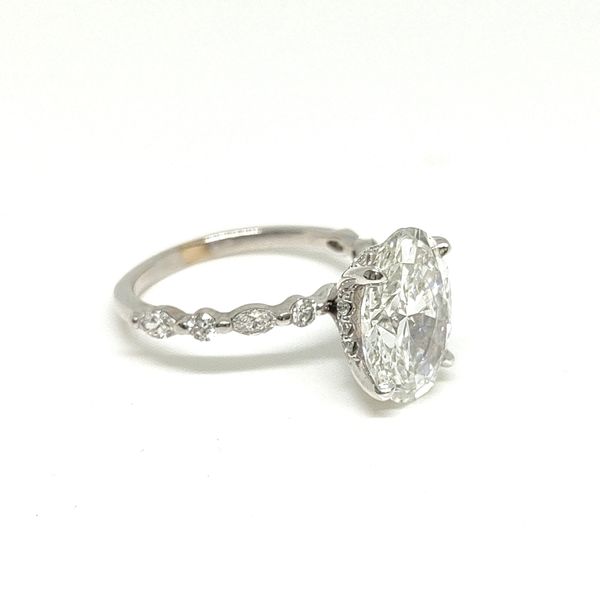 14K White Gold Hidden Halo Ring Image 2 Blue Water Jewelers Saint Augustine, FL