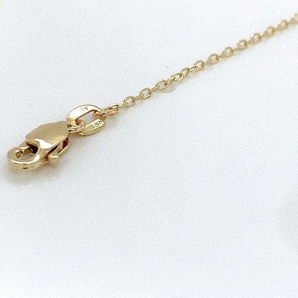 14K Yellow Gold Chain Necklace Blue Water Jewelers Saint Augustine, FL