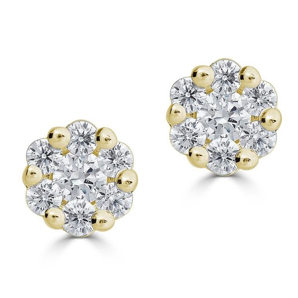 14K Yellow Gold Other Earrings Blue Water Jewelers Saint Augustine, FL