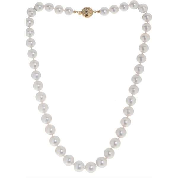 14K Other Necklace Blue Water Jewelers Saint Augustine, FL