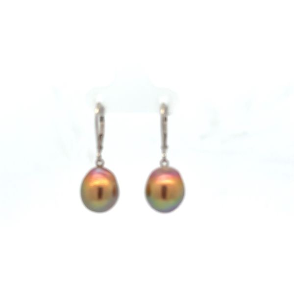 14K Other Earrings Blue Water Jewelers Saint Augustine, FL