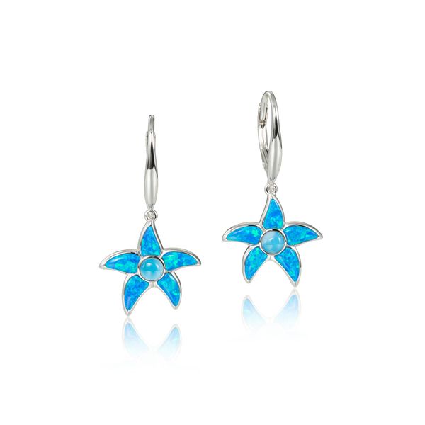 Sterling Silver Other Earrings Blue Water Jewelers Saint Augustine, FL