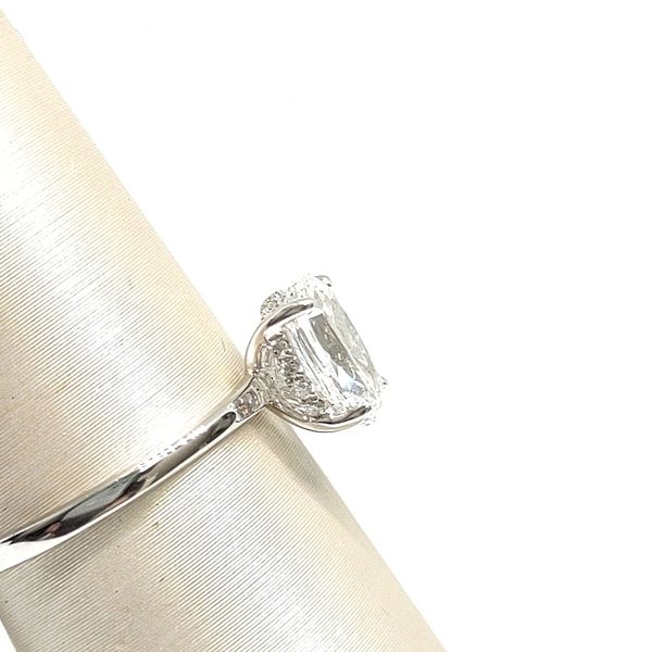 18K White Gold Hidden Halo Ring Image 2 Blue Water Jewelers Saint Augustine, FL