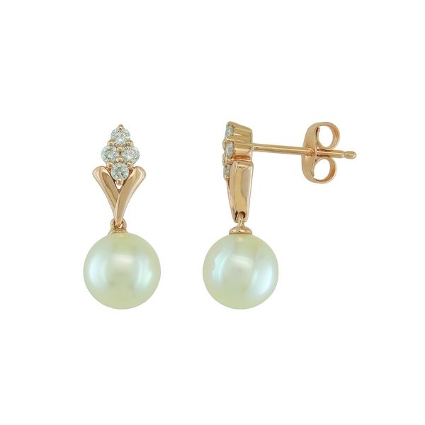 14K Yellow Gold Earrings Blue Water Jewelers St. Augustine, FL