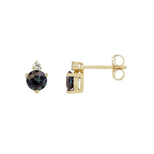 14K Yellow Gold Earrings Blue Water Jewelers St. Augustine, FL