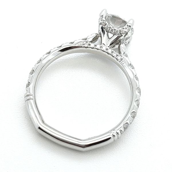 14K White Gold Hidden Halo Ring Image 2 Blue Water Jewelers St. Augustine, FL