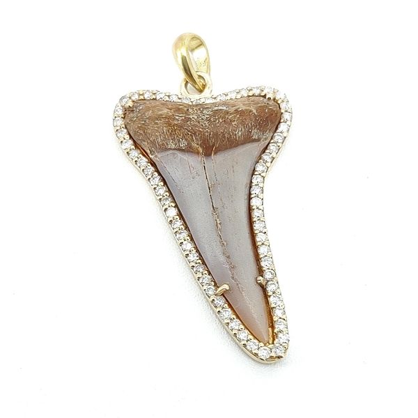 0.55 TCW Diamond Shark Tooth 18K Gold Pendant Blue Water Jewelers St. Augustine, FL