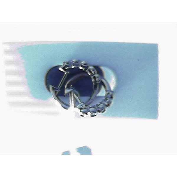 Stud Earrings Blue Water Jewelers Saint Augustine, FL