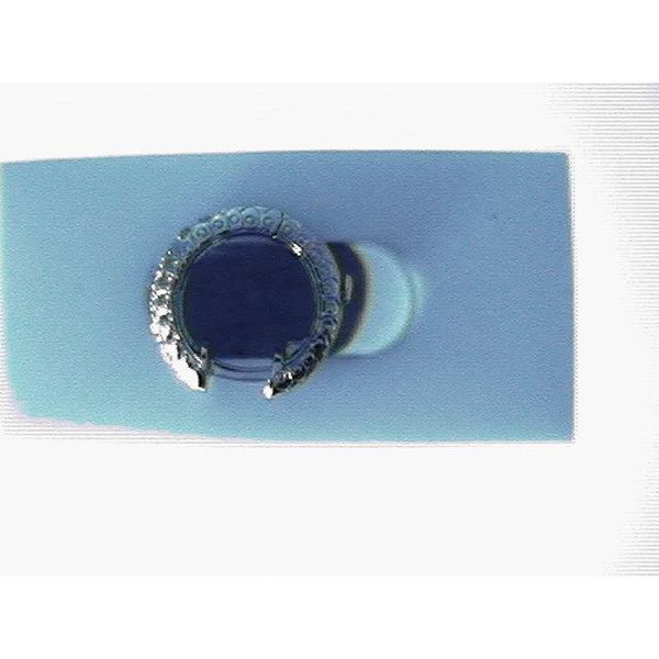 Stud Earrings Blue Water Jewelers Saint Augustine, FL