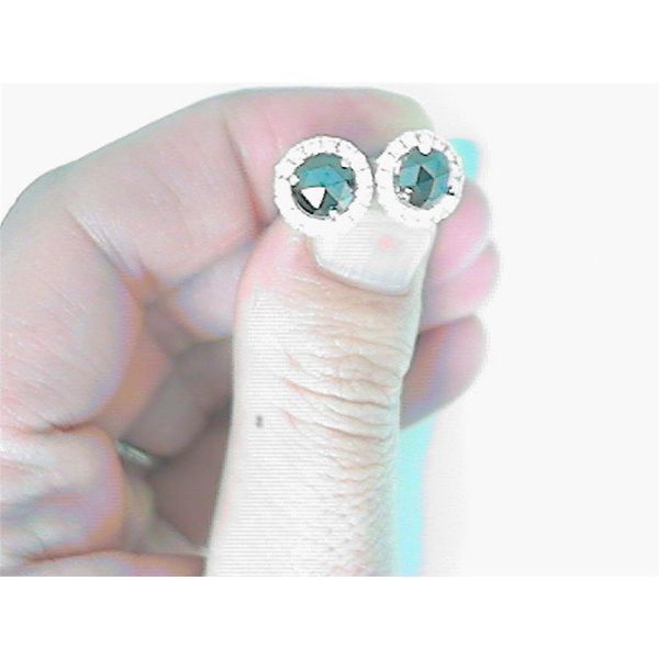 Stud Earrings Blue Water Jewelers Saint Augustine, FL