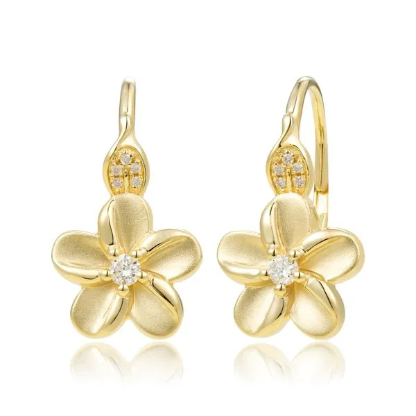 0.15 TCW DIAMOND EARRINGS Blue Water Jewelers Saint Augustine, FL