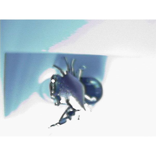 Pendant Blue Water Jewelers Saint Augustine, FL