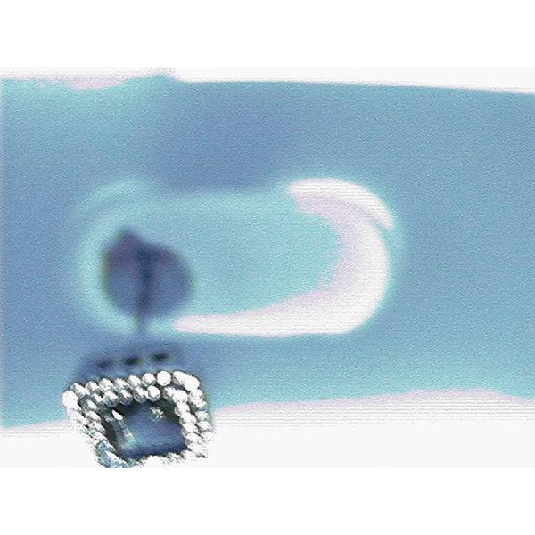 Earrings Blue Water Jewelers Saint Augustine, FL