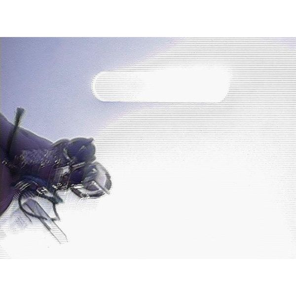 Earrings Blue Water Jewelers Saint Augustine, FL