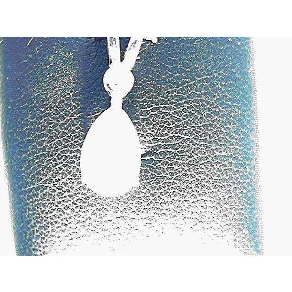 Pendant Blue Water Jewelers Saint Augustine, FL