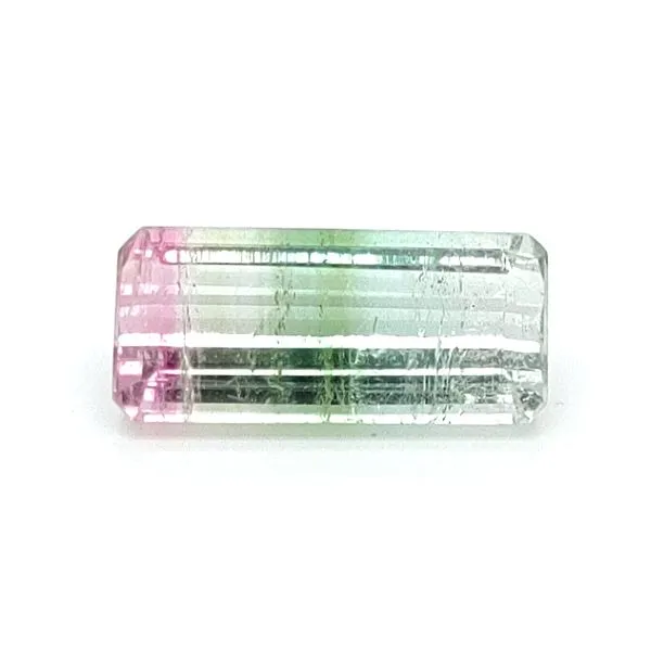 BICOLOR TOURMALINE - COLORED STONE LOOSE Blue Water Jewelers Saint Augustine, FL