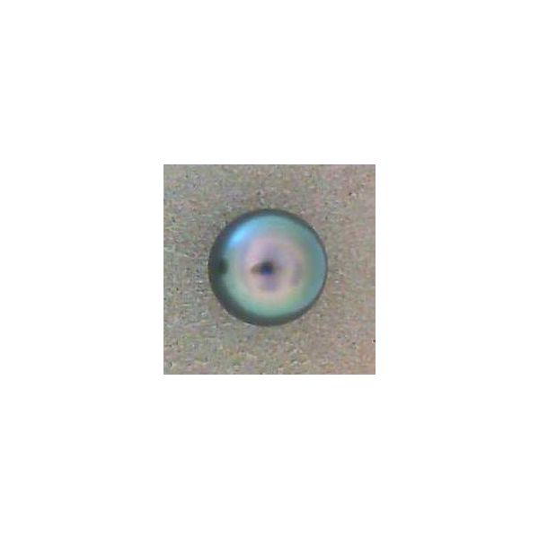 Earrings Blue Water Jewelers Saint Augustine, FL