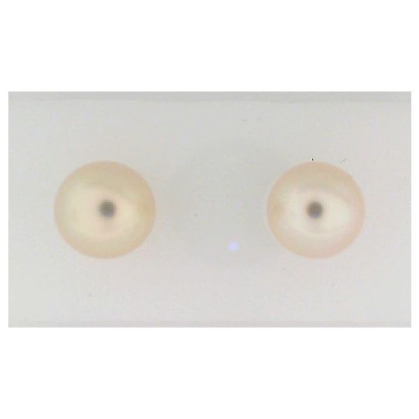 Earrings Blue Water Jewelers Saint Augustine, FL