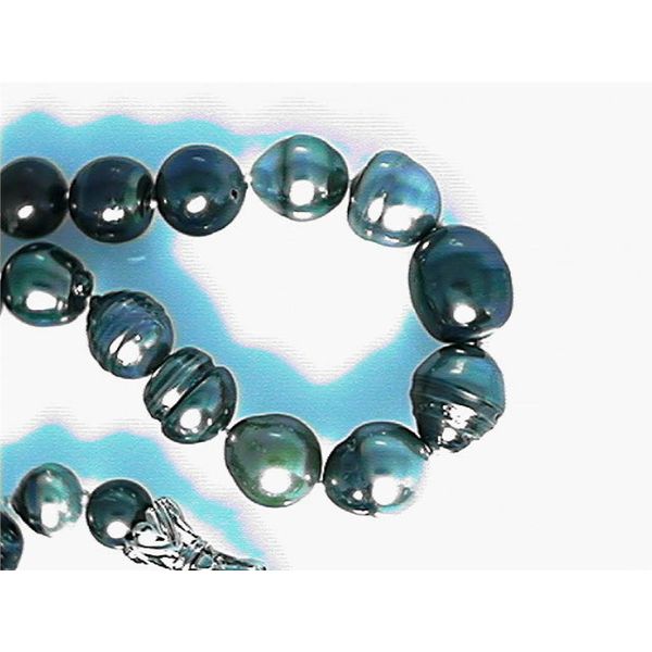 Pearl Strand Blue Water Jewelers Saint Augustine, FL