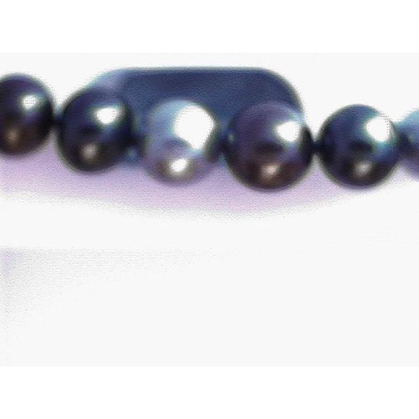 Pearl Strand Blue Water Jewelers Saint Augustine, FL