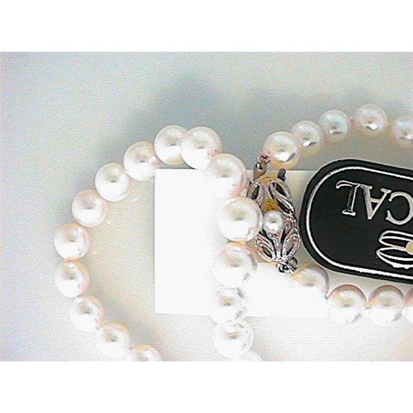 Pearl Strand Blue Water Jewelers Saint Augustine, FL