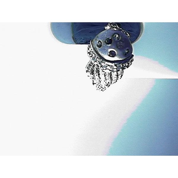 Earrings Blue Water Jewelers Saint Augustine, FL