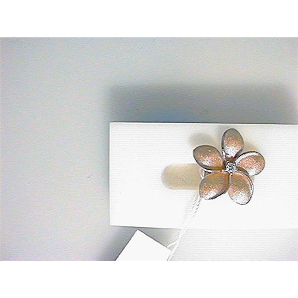 Earrings Blue Water Jewelers Saint Augustine, FL