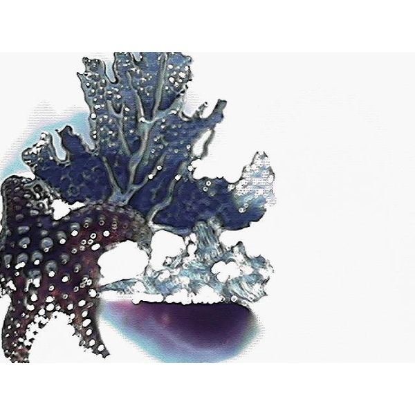 Pendant Blue Water Jewelers Saint Augustine, FL