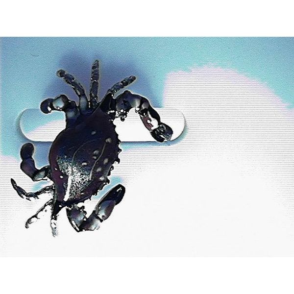 Pendant Blue Water Jewelers Saint Augustine, FL