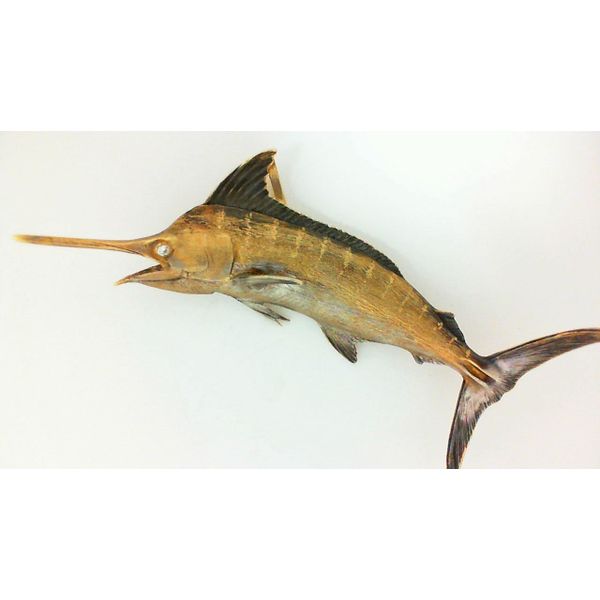 Pendant Blue Water Jewelers Saint Augustine, FL