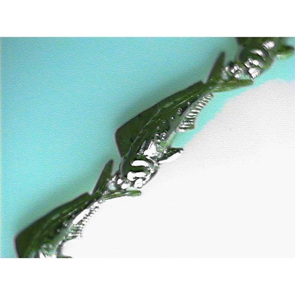 Bracelet Blue Water Jewelers Saint Augustine, FL