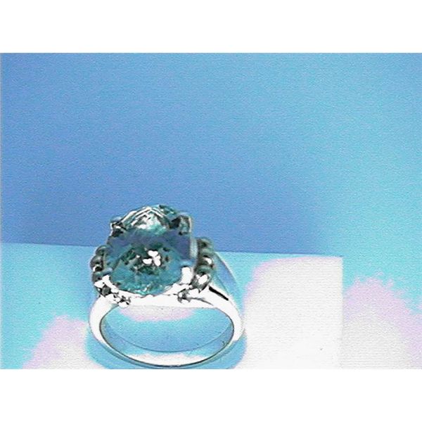 Earrings Blue Water Jewelers Saint Augustine, FL