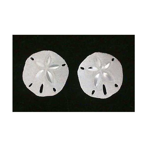 Earrings Blue Water Jewelers Saint Augustine, FL