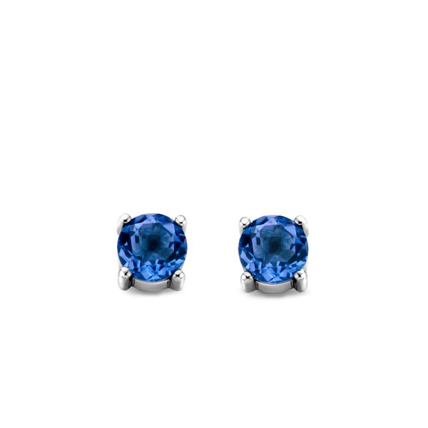 Earrings Blue Water Jewelers Saint Augustine, FL