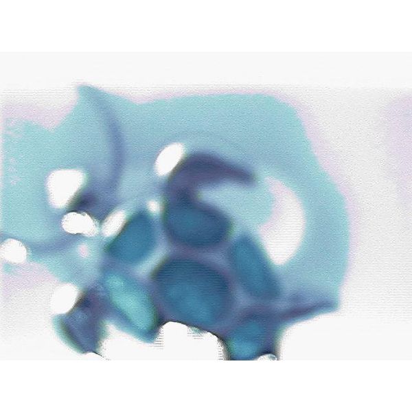 Silver Pendant Blue Water Jewelers Saint Augustine, FL