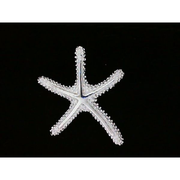 Silver Pendant Blue Water Jewelers Saint Augustine, FL