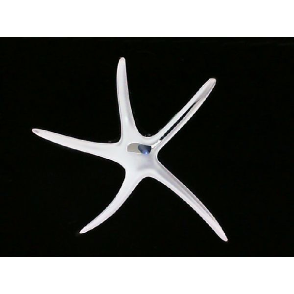 Silver Pendant Blue Water Jewelers Saint Augustine, FL