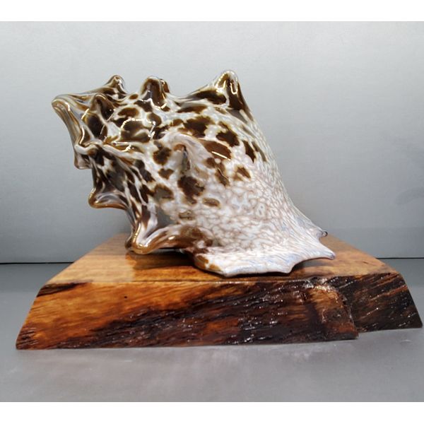 Giftware Blue Water Jewelers Saint Augustine, FL