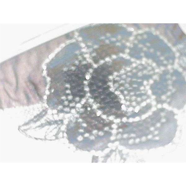 . Blue Water Jewelers Saint Augustine, FL