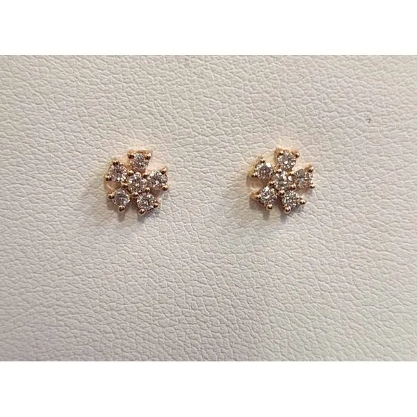 Earrings B & L Jewelers Danville, KY