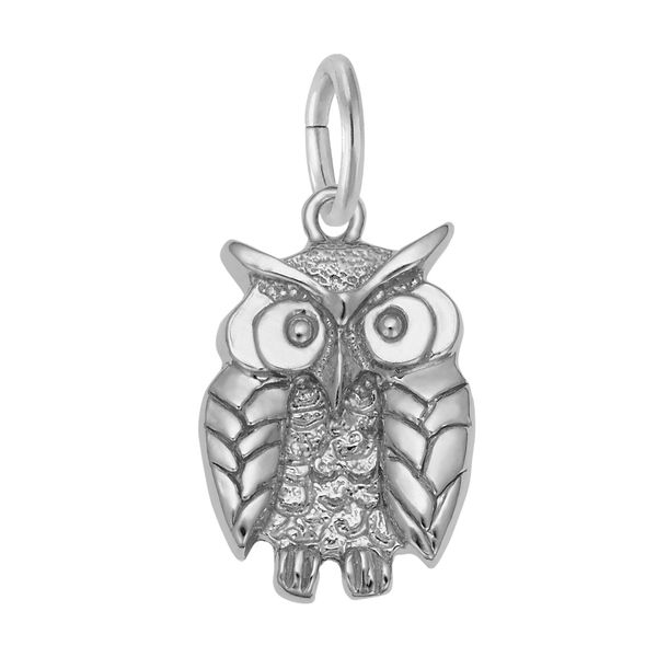 Sterling Silver Wise Owl Charm B & L Jewelers Danville, KY